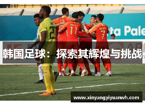 韩国足球：探索其辉煌与挑战