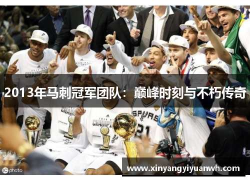 2013年马刺冠军团队：巅峰时刻与不朽传奇