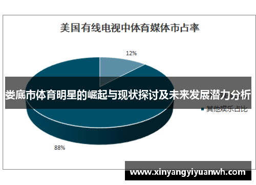娄底市体育明星的崛起与现状探讨及未来发展潜力分析