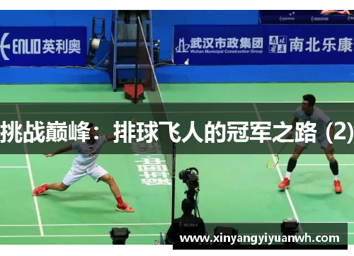 挑战巅峰：排球飞人的冠军之路 (2)