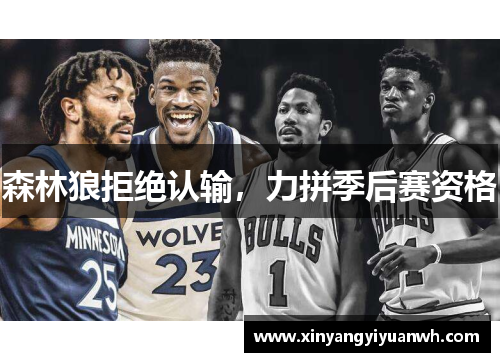森林狼拒绝认输，力拼季后赛资格