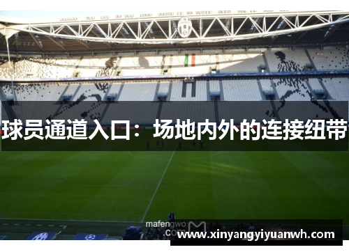 球员通道入口：场地内外的连接纽带