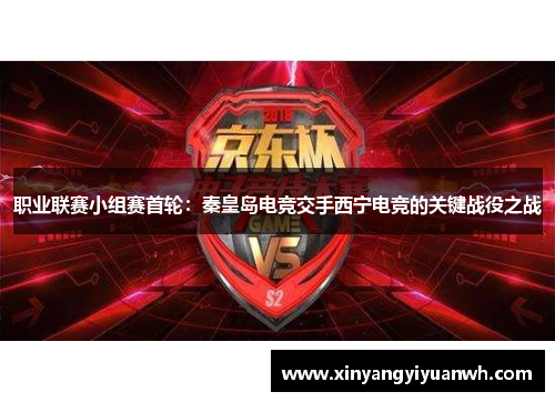 职业联赛小组赛首轮：秦皇岛电竞交手西宁电竞的关键战役之战