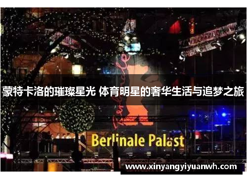 蒙特卡洛的璀璨星光 体育明星的奢华生活与追梦之旅