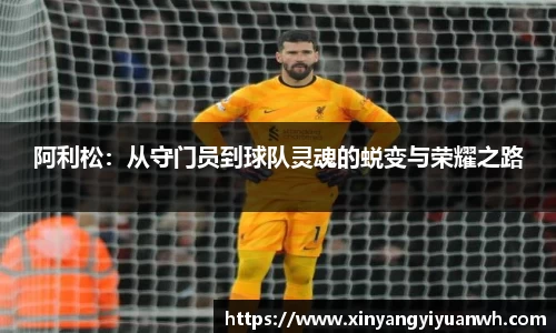 QY球友会