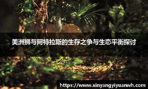 竞技宝官网网站